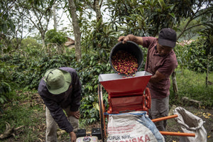 Sumatra Mandheling